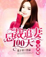 总裁追妻100天