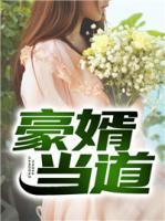 豪婿当道