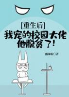 重生后，我宠的校园大佬他脱贫了！