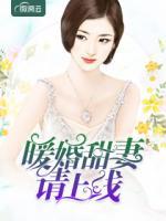 暖婚甜妻请上线