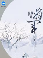 嫁个相公是将军