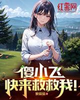 傻小飞，快来救救我！