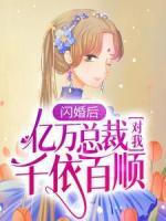 闪婚后，亿万总裁对我千依百顺