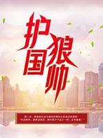 护国狼帅
