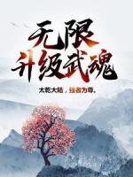 无限升级武魂