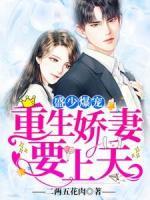 盛少爆宠：重生娇妻要上天
