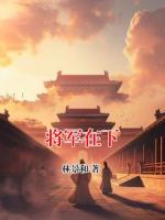 将军在下