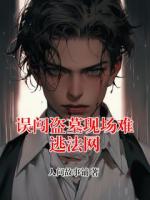 误闯盗墓现场难逃法网