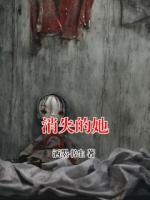 消失的她