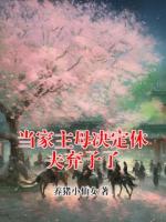 当家主母决定休夫弃子了