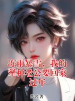 冻雨暴雪，我的犟种老公要回家过年