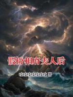 假扮相府夫人后
