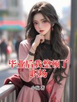 毕业后我整顿了职场