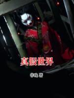 真假世界