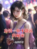 房销一姐不能说的秘密