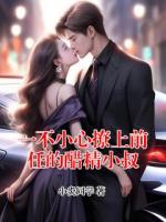 一不小心撩上前任的醋精小叔