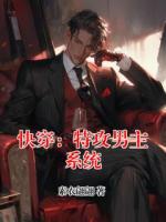 快穿：特攻男主系统