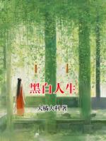 黑白人生