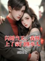闪婚当天，我怀上了豪门继承人