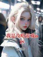 我是攻略游戏npc