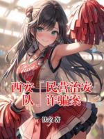 西安「民营治安队」诈骗案