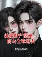 她携财产离婚，前夫全球追妻