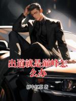 出道就是巅峰怎么办