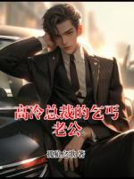 高冷总裁的乞丐老公