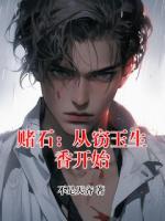 赌石：从窃玉生香开始