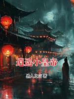逍遥小皇帝