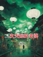 二次失踪的老婆