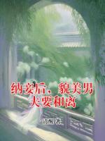 纳妾后，貌美男夫要和离