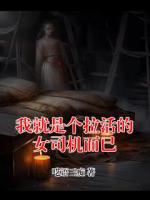 我就是个拉活的女司机而已