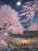 辞镜