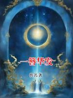 一簪华发