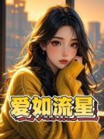 爱如流星