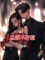 总裁不好惹
