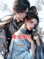 唯见明月