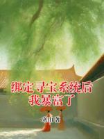 绑定寻宝系统后我暴富了