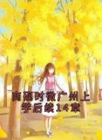 商砚时微广州上学后续14章