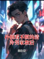 扑倒看不惯的清冷男家教后