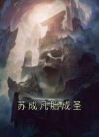 苏成凡胎成圣