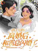 四十六岁离婚后，和霸总闪婚了