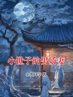 小世子的男娇妻
