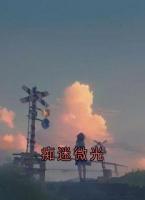 痴迷微光