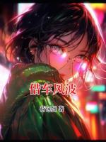借车风波