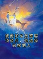 被他前女友整容顶替后，我选择另嫁他人