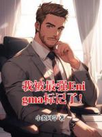 我被最强Enigma标记了！