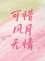 可惜风月无情