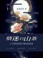 情迷白山茶